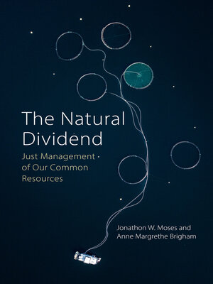 cover image of The Natural Dividend